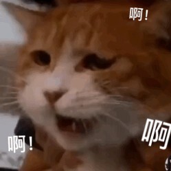 用过以后来评论 两边有点勒 感觉不是很透气有点闷 价钱放在这儿了 还行吧 算是满意了 用过以后来评论 两边有点勒 感觉不是很透气有点闷 价钱放在这儿了 还行吧 算是满意了