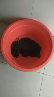 买了两件,里面的欢喜比较多,洗了,我觉得东西很不错,穿上挺好的,个人很喜欢,料子很舒服的,不怎么褪色,很柔软,不扎皮肤,好久没有评论写过这么多的,真的柔软不扎皮肤的哦。 买了两件,里面的欢喜比较多,洗了,我觉得东西很不错,穿上挺好的,个人很喜欢,料子很舒服的,不怎么褪色,很柔软,不扎皮肤,好久没有评论写过这么多的,真的柔软不扎皮肤的哦。