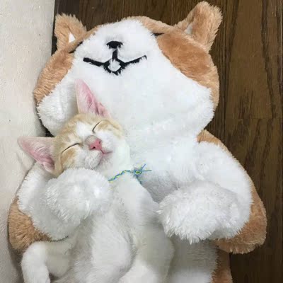 这条太可爱了 想买大一点不勒肚子 结果是自己想多了 拍平常尺码就好了