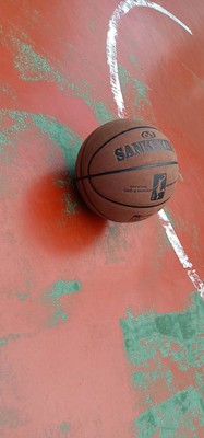 调查心得SANKEXING蓝球怎么样,SANKEXING质量真的很好吗?