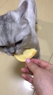 吐槽九阳空气炸锅怎么样，质量烂不烂呢,用后反馈