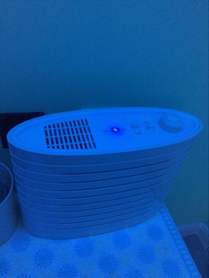 真实使用感受双鸟空气净化器怎么样,曝光了是真假,通过三个月使用看真相