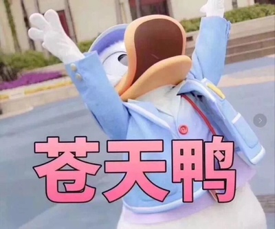 老板油烟机怎么样,看过再选,老板油烟机怎么样,老板油烟机好不好呢,用后反馈