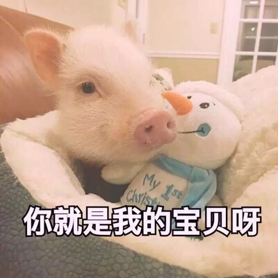 什么都满意，就是不知道是不是正品。