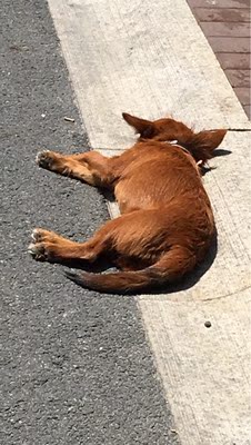 此用户没有填写评价。 此用户没有填写评价。