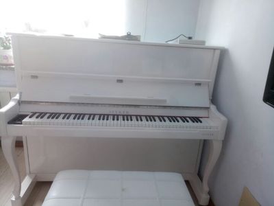 体验SPYKER英国世爵钢琴怎么样，音色好不好？这个品牌是杂牌吗