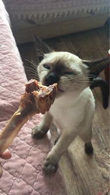 质量非常好，与卖家描述的完全一致，非常满意,真的很喜欢，收到了包装很好还会在买!用着不错对产品相当满意挺好的很不错，，搞活动买到还不错。用习惯了，觉得用着还可以包装完整 使用过评价效果发货速度非常快，包装非常仔细、严实，物流公司服务态度很好，运送速度很快，很满意的一次购物。