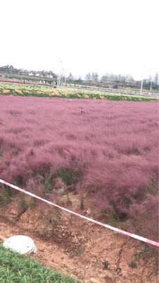 非常喜欢 很好用。非常喜欢 很好用。非常喜欢 很好用。非常喜欢 很好用。非常喜欢 很好用。非常喜欢 很好用。非常喜欢 很好用。非常喜欢 很好用。非常喜欢 很好用。非常喜欢 很好用。非常喜欢 很好用。非常喜欢 很好用。非常喜欢 很好用。非常喜欢 很好用。非常喜欢 很好用。非常喜欢 很好用。非常喜欢 很好用。非常喜欢 很好用。非常喜欢 很好用。非常喜欢 很好用。非常喜欢 很好用。非常喜欢 很好用。非常喜欢 很好用。非常喜欢 很好用。