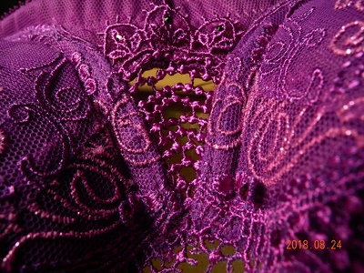 奢华刺绣，感受大品牌的细致入微，第一次体验阳台杯款式，钻石般闪亮，超赞！