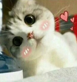 质量感觉还不错弹性也挺好的质量感觉还不错弹性也挺好的质量感觉还不错弹性也挺好的质量感觉还不错弹性也挺好的质量感觉还不错弹性也挺好的质量感觉还不错弹性也挺好的质量感觉还不错弹性也挺好的质量感觉还不错弹性也挺好的质量感觉还不错弹性也挺好的质量感觉还不错弹性也挺好的质量感觉还不错弹性也挺好的