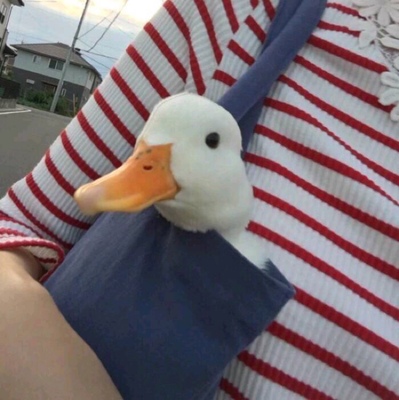 一直想买这种没有钢圈没有垫子还很薄的内衣，对比了内外的之后，选择了这个牌子，没有让我失望，反正是平胸，舒服才是王道