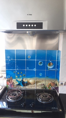 用后真相方太油烟机怎么样,方太SY09G油烟机好不好,价格多少