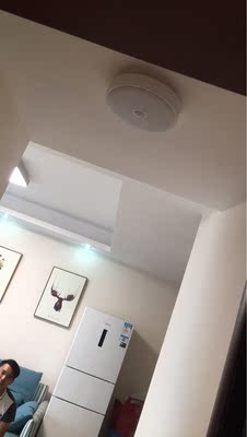 点评yeelight吸顶灯怎么样,亮度够吗?yeelight是小米的产品吗?