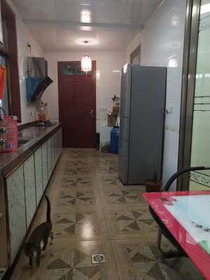 TCL BCD-205TF1 三门冰箱 家用小型三开门 节能家用三门电冰箱