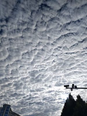 很好穿，可以穿一字肩的衣服，穿上也不会掉下来，很满意啦啦啦啦啦啦啦啦啦啦啦啦啦啦啦