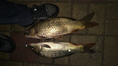 目前看来双宝鱼竿怎么样，双宝宏图鱼竿质量好吗？好不好用？