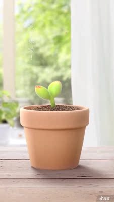 穿了一次 质量还不错 搭配一套买的 上衣料子比较柔软 透气 裤子弹力也很大 健身是需要坚持的 以后长期坚持 效果会更好 有合适的衣服还会再来穿了一次 质量还不错 搭配一套买的 上衣料子比较柔软 透气 裤子弹力也很大 健身是需要坚持的 以后长期坚持 效果会更好 有合适的衣服还会再来穿了一次 质量还不错 搭配一套买的 上衣料子比较柔软 透气 裤子弹力也很大 健身是需要坚持的 以后长期坚持 效果会更好 有合适的衣服还会再来 穿了一次 质量还不错 搭配一套买的 上衣料子比较柔软 透气 裤子弹力也很大 健身是需要坚持的 以后长期坚持 效果会更好 有合适的衣服还会再来穿了一次 质量还不错 搭配一套买的 上衣料子比较柔软 透气 裤子弹力也很大 健身是需要坚持的 以后长期坚持 效果会更好 有合适的衣服还会再来穿了一次 质量还不错 搭配一套买的 上衣料子比较柔软 透气 裤子弹力也很大 健身是需要坚持的 以后长期坚持 效果会更好 有合适的衣服还会再来