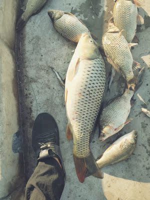 让保罗钓竿口碑行吗,质量怎么样,让保罗钓竿怎么样,让保罗质量真的很好吗?