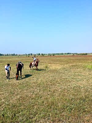 主要骑马穿，袖子长，衣领也高，不用担心会被晒到，料子也可以，挺软的，但是我不懂是什么布料的，反正不贵不好了就再买一件😂，好评&hellip;&hellip;&hellip;&hellip;