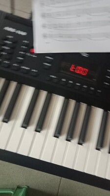 吐槽爱尔科电子琴怎么样，真相如何,看过才知