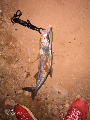 调查心得PURE FISHING鱼杆怎么样,质量好不好呢,值得买吗