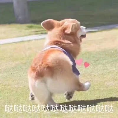 下面有扣,很方便,女朋友的大蜜桃穿上这个之后更性感了,跪在全身镜前给我口的时候光是看她绷的直直的脚尖跟大屁股,就忍不住要射了。好评 下次买个露背的试试 下面有扣,很方便,女朋友的大蜜桃穿上这个之后更性感了,跪在全身镜前给我口的时候光是看她绷的直直的脚尖跟大屁股,就忍不住要射了。好评 下次买个露背的试试