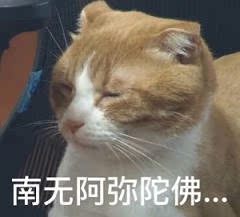 跟舍友一起买的，太实惠了，没想着这么便宜的东西能有多好，但是这个确实不错。没有钢圈和海绵，很薄，适合夏天。因为有海绵的那种穿久了老是翘边，穿衣服会凸起一道，所以特意选了这款。穿上很舒服，码数合适，聚拢效果很好，肩带是宽的，后背的也是宽的，跟舍友打算再买一套。哈哈哈哈哈哈，喜欢喜欢喜欢，满意满意满意，很赞很赞很赞，好评好评好评