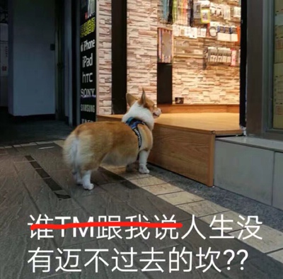 当大家看到我的这一篇评价时，表示我对产品是认可的，尽管我此刻的评论是复制粘贴的。这一方面是为了肯定商家的服务，另一方面是为了节省自己的时间，因为差评我会直接说为什么的。所以大家就当做是产品质量合格的意思来看就行了。最后祝店家越做越好，大家幸福平安，中华民族繁荣昌盛。