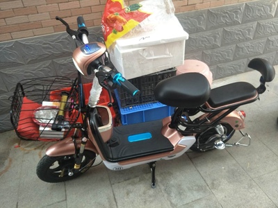 激战电瓶车成人电动车48V新款电动自行车小型双人电车可取出电池