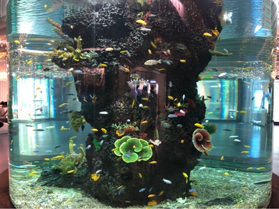 非常好非常好非常好非常好非常好非常好非常好非常好非常好非常好非常好非常好非常好非常好非常好非常好非常好非常好非常好非常好非常好非常好非常好非常好非常好非常好非常好非常好非常好非常好非常好非常好非常好非常好非常好非常好非常好非常好非常好非常好非常好非常好非常好非常好非常好非常好非常好非常好非常好非常好非常好非常好非常好非常好非常好非常好非常好非常好非常好非常好非常好非常好非常好非常好非常好非常好非常好非常好非常好非常好非常好非常好非常好非常好非常好非常好非常好非常好非常好非常好非常好非常好非常好非常好非常好非常好非常好非常好非常好非常好非常好非常好非常好非常好非常好非常好非常好非常好非常好非常好非常好非常好非常好非常好非常好非常好非常好非常好非常好非常好非常好非常好非常好非常好非常好非常好非常好非常好非常好非常好非常好非常好非常好非常好非常好非常好非常好非常好