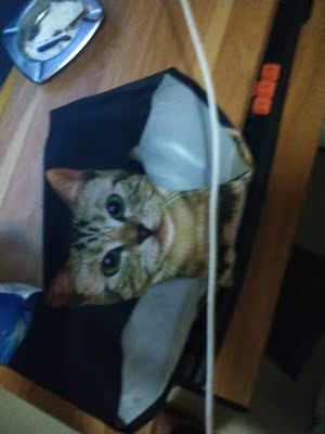 这么大点 就一 这么大点 就一