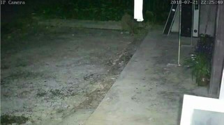 评测点评安尼威尔摄像头怎么样,三个月使用彻底后悔了,内幕曝光