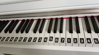 火爆的真实分享贝琪电钢琴怎么样，音质效果好吗，上档次吗