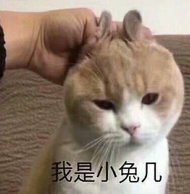 100分！一百分！用了两天唇部嫩了不少，就每天睡前用的，死皮也基本没了，希望坚持用能淡化唇纹。当大家看到我的这一篇评价时，表示我对产品是认可的，尽管我此刻的评论是复制粘贴的。这一方面是为了肯定商家的服务，另一方面是为了节省自己的时间，因为差评我会直接说为什么的。所以大家就当做是产品质量合格的意思来看就行了。最后祝店家越做越好，大家幸福平安，中华民族繁荣昌盛。