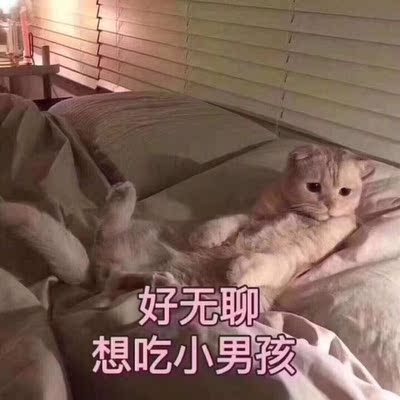 喜欢的不得了 男朋友看了直夸好看 好看 不管配靴子 短袜板鞋 外面搭个皮草 仙