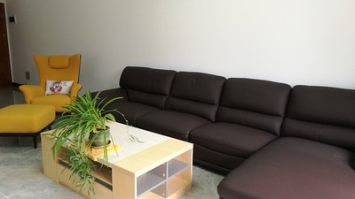 大家谈谈林氏木业真皮沙发怎么样,大不大气,值得入手吗