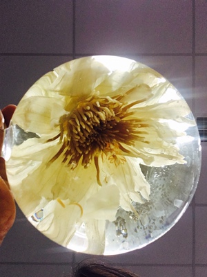 用心评论是美德。这么多年我都没有好好评论过，当然从现在开始我都会好好说一下我的实际使用心得～毕竟致力于剁手这么多年，人生只剩下这点特长了。这段话会像我的签名一样，陪伴我填满大大小小的评论。当然很多产品不能光靠别人评论，还要自己去勇于尝试。