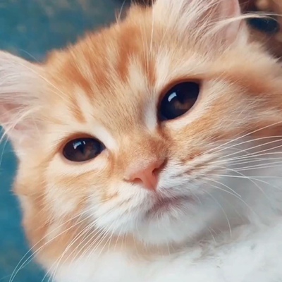 面料超舒服，而且有没有味道！超级喜欢喜欢喜欢喜欢