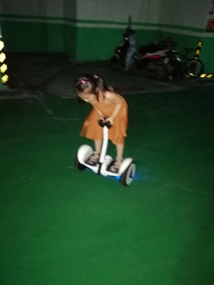 傲凤 平衡车儿童双轮电动扭扭车智能漂移车两轮成人代步车思维车