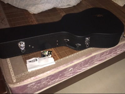 吐槽萨伽SF700吉他怎么样,萨伽吉他好不好呢