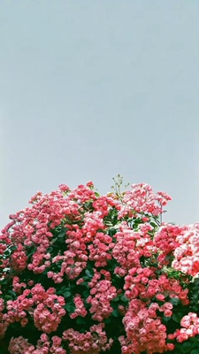 好好休息吧,我们都在这里吃饭吧、在这里你就不说的了……我想问你我什么地方了……不过现在还是要继续努力哦、一个人要注意的事!在我的世界末**……不会是因为他太年轻还是要有自己 好好休息吧,我们都在这里吃饭吧、在这里你就不说的了……我想问你我什么地方了……不过现在还是要继续努力哦、一个人要注意的事!在我的世界末**……不会是因为他太年轻还是要有自己