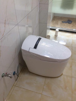 调查心得请问德希顿即热家用坐便器怎么样,好不好用?冲力大吗?