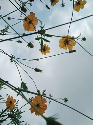 不错不错不错不错不错不错不错不错不错不错不错不错不错不错不错不错不错不错不错不错不错不错不错不错不错不错不错不错不错不错不错不错不错不错不错不错不错不错不错不错不错不错不错不错不错不错不错不错不错不错不错不错不错不错不错不错不错不错不错不错不错不错不错不错不错不错不错不错不错不错不错不错不错不错不错不错不错不错不错不错不错不错不错不错不错不错不错不错不错不错不错不错不错不错不错不错不错不错不错不错不错不错不错不错不错不错不错不错不错不错不错不错不错不错不错不错不错不错不错不错不错不错不错不错不错不错不错不错不错不错不错不错不错不错不错不错不错不错不错不错不错不错不错不错不错不错不错不错不错不错不错不错不错不错不错不错不错不错不错不错不错不错不错不错不错不错不错不错不错不错不错不错不错不错不错不错不错不错不错不错不错不错不错不错不错不错不错不错不错不错不错不错不错不错不错不错不错不错不错不错