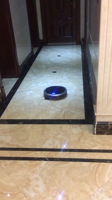 火爆的评测罗弗尔扫地机器人怎么样，质量好吗，真相大揭秘