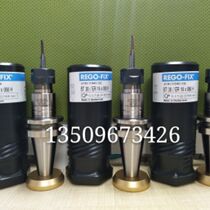 Swiss REGO-FIX high precision shank BT30-ER16-080H tool holder precision-0 005 below