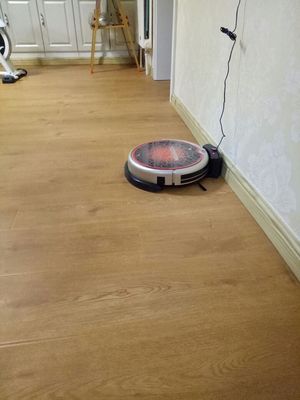 大家谈谈TOMEFON斐纳扫地机器人怎么样,质量好吗?哪款型号好用?