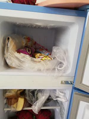 FRESTECH/新飞 BCD-108YD小冰箱L家用宿舍双开门冷藏冻小型电冰箱