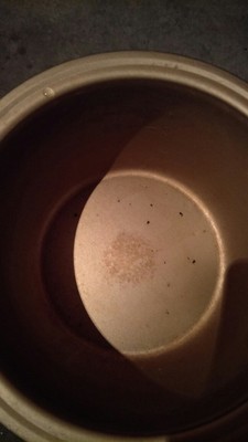 如何评价韩派NS-F30-06电饭煲怎么样,韩派好不好呢