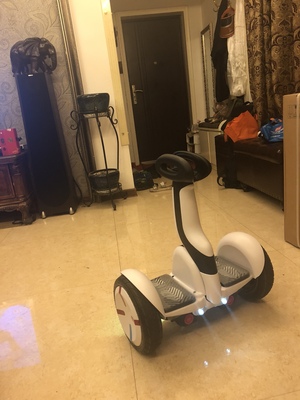 点评领奥平衡车怎么样，真相如何,不看后悔