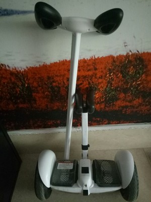 傲凤 平衡车儿童双轮电动扭扭车智能漂移车两轮成人代步车思维车